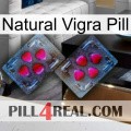 Natural Vigra Pill 15